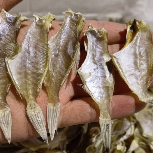 北海北海剥皮鱼耗儿鱼洋仔迪仔鱼小鱼干批发零售源头一手货源
