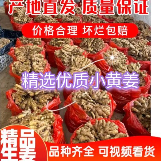 沂水县山东【优质生姜产地】供应优选大小黄姜，货源充足