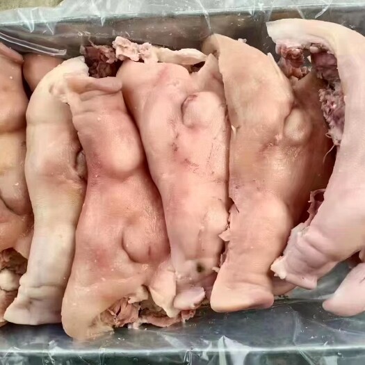 临沂熟猪头肉干净无毛，适用于熟食批发，辣炒猪头肉，凉拌黄瓜都可以
