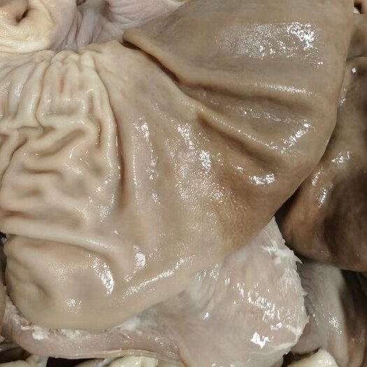 宜章县熟猪肚批发