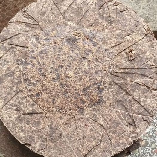 岑溪市大量纯茶籽饼无内壳上市