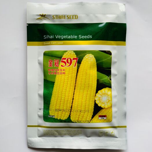 沭阳县玉米种子金冠597玉米鲜食甜玉米籽粒黄色非转基因水果玉米种子
