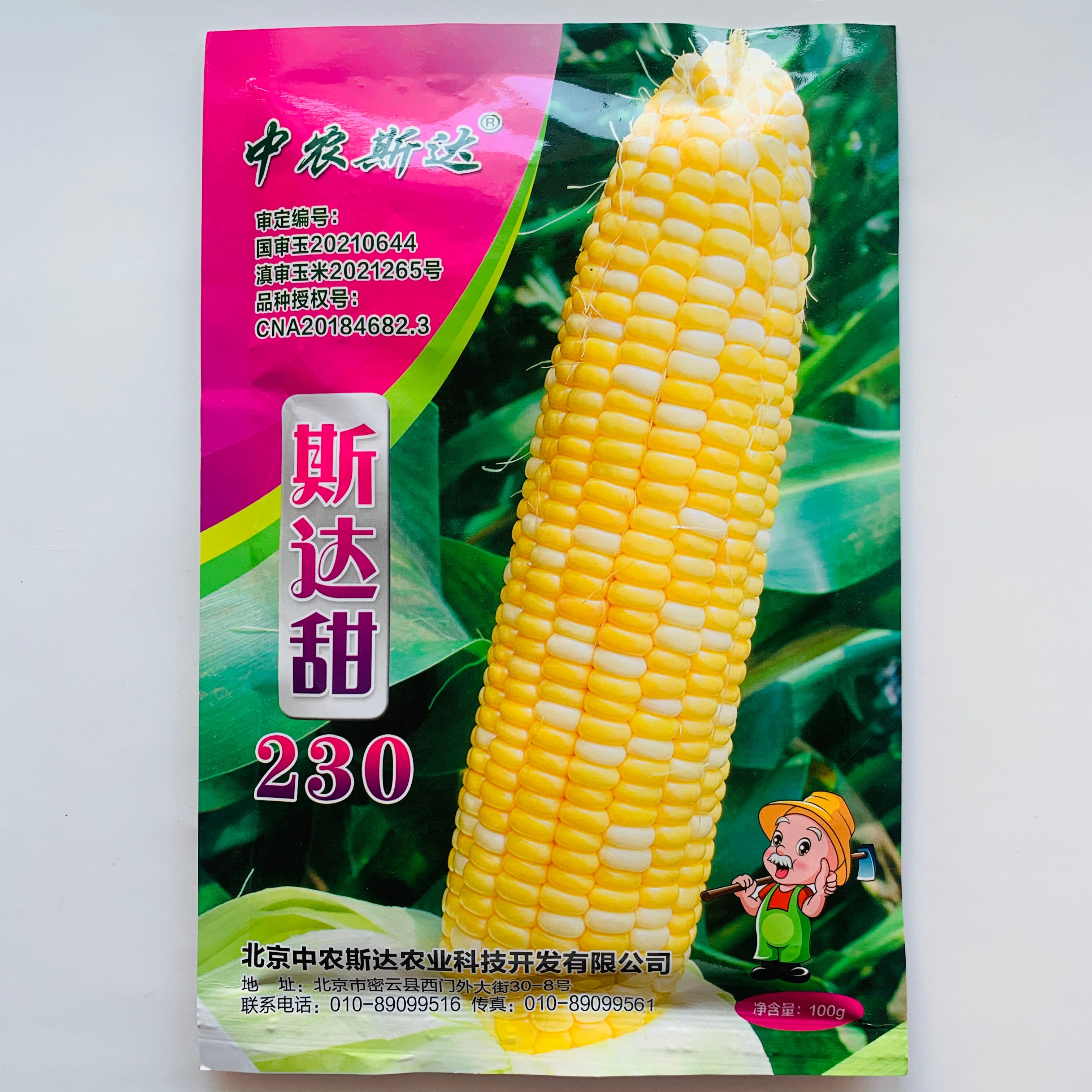 沭阳县玉米种子斯达甜230玉米籽粒黄白甜质型抗病好吃鲜食甜玉米种子