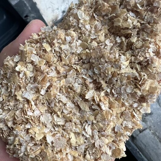 正定县五得利 金沙河 大片麸皮