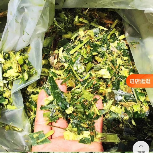 惠州广东玉米秸秆出售