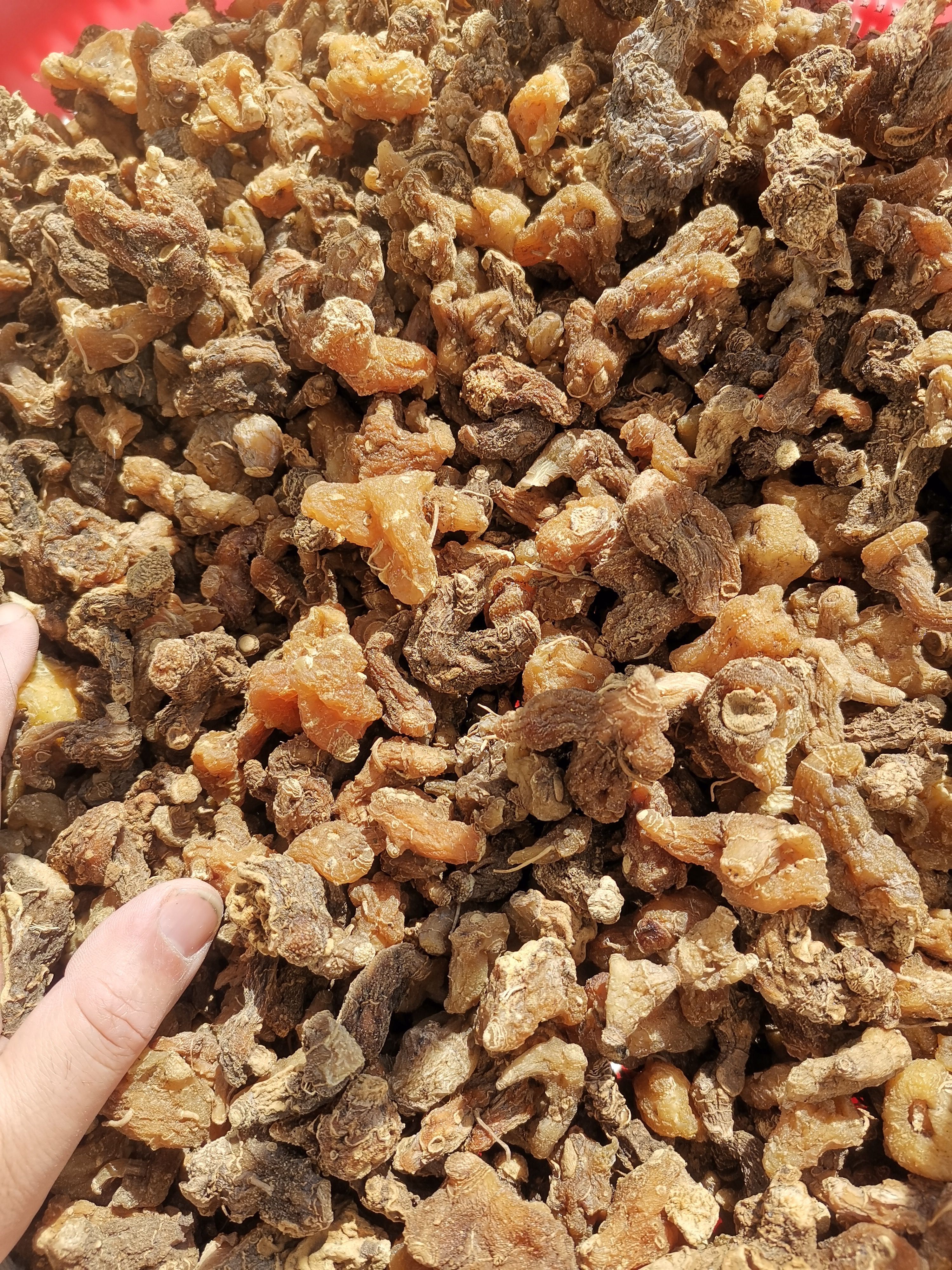 秦岭深山黄精，道地药材，无硫全干，品质好货真价实。