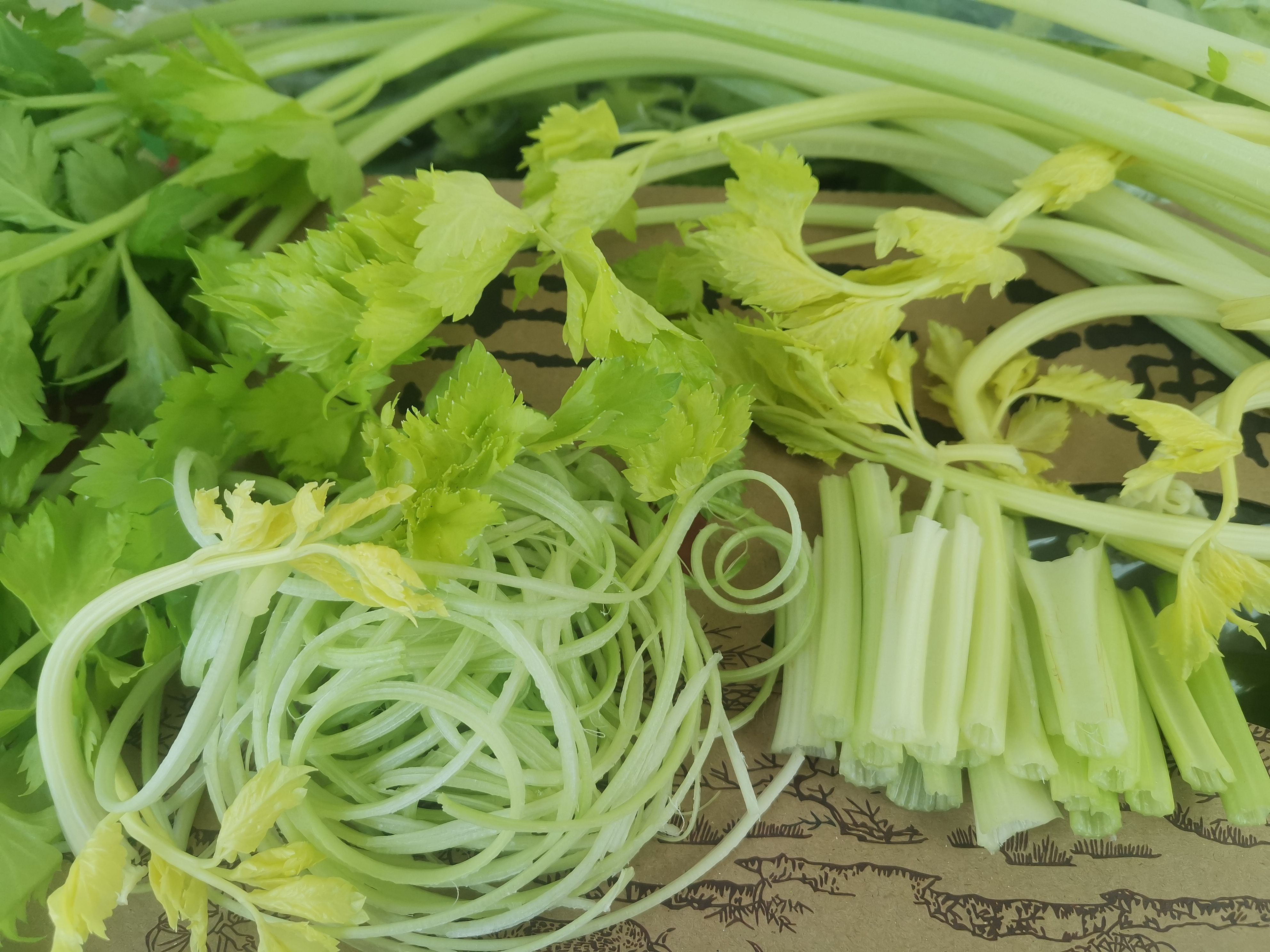 平度特产马家沟芹菜玻璃脆支持一件代发量大从优
