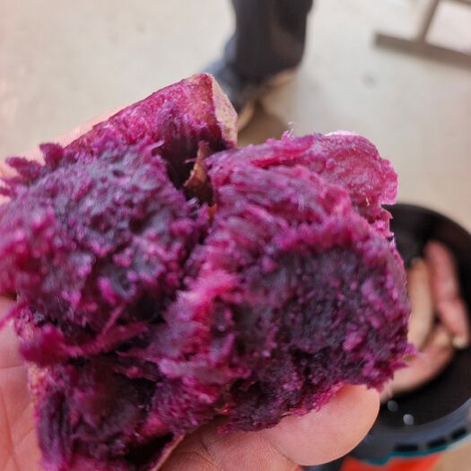 紫蜜薯，泰紫1号
