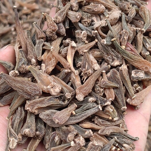 亳州冰球子小白芨