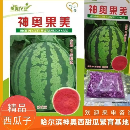 扶沟县果美西瓜种子美都西瓜种子抗病抗裂易座果保证正品