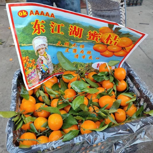 邯郸蜜桔，口感甜