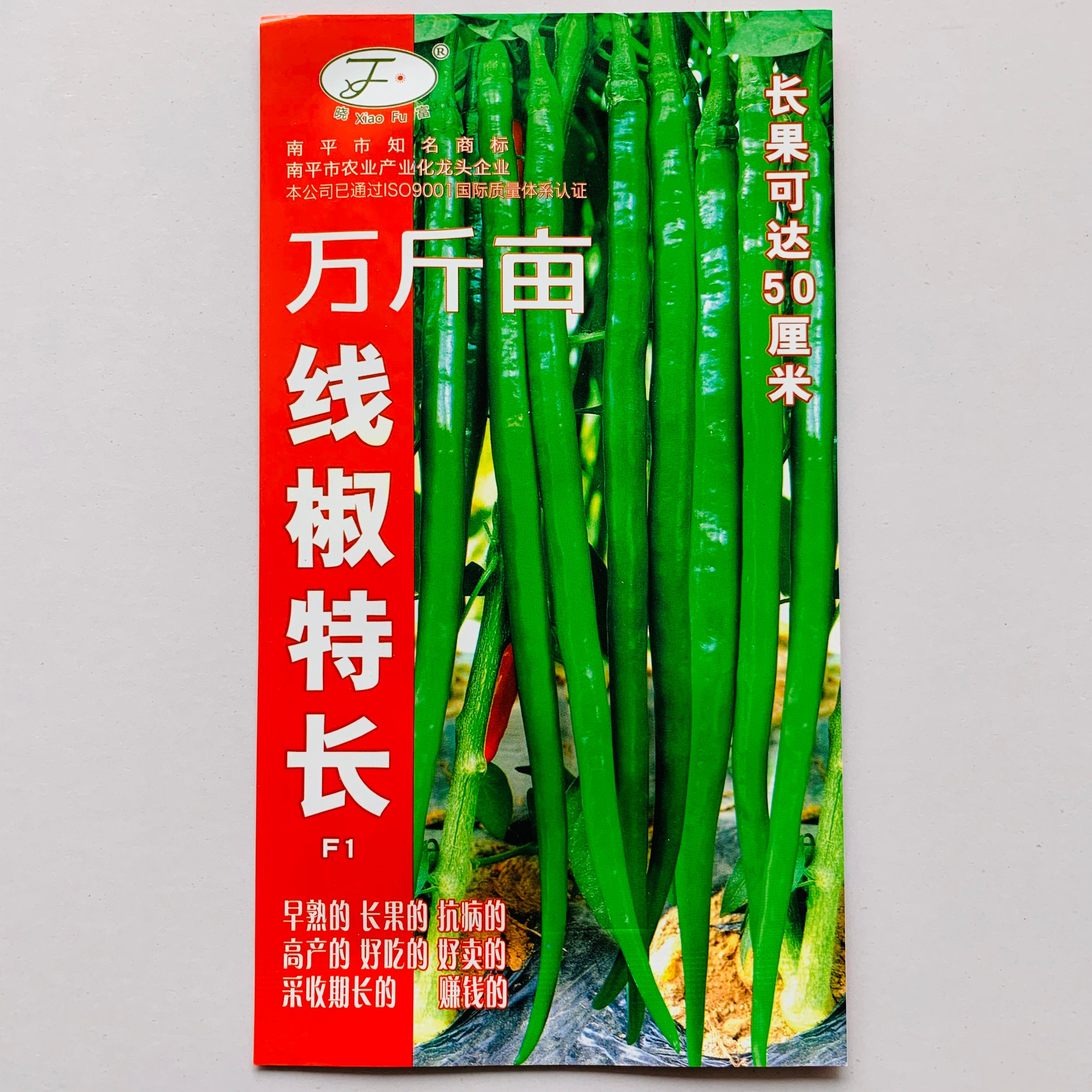 沭阳县线椒种子超辣高产螺丝辣椒种子二荆条四季种籽南方种苗蔬菜种孑