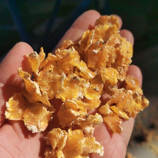 哈尔滨蒸汽玉米压片