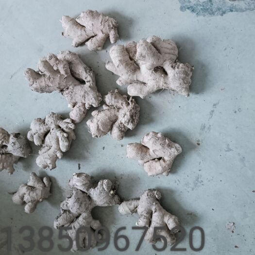 南平生姜 小黄姜 老姜  福建小黄姜批发！市场货，电商货，食堂用