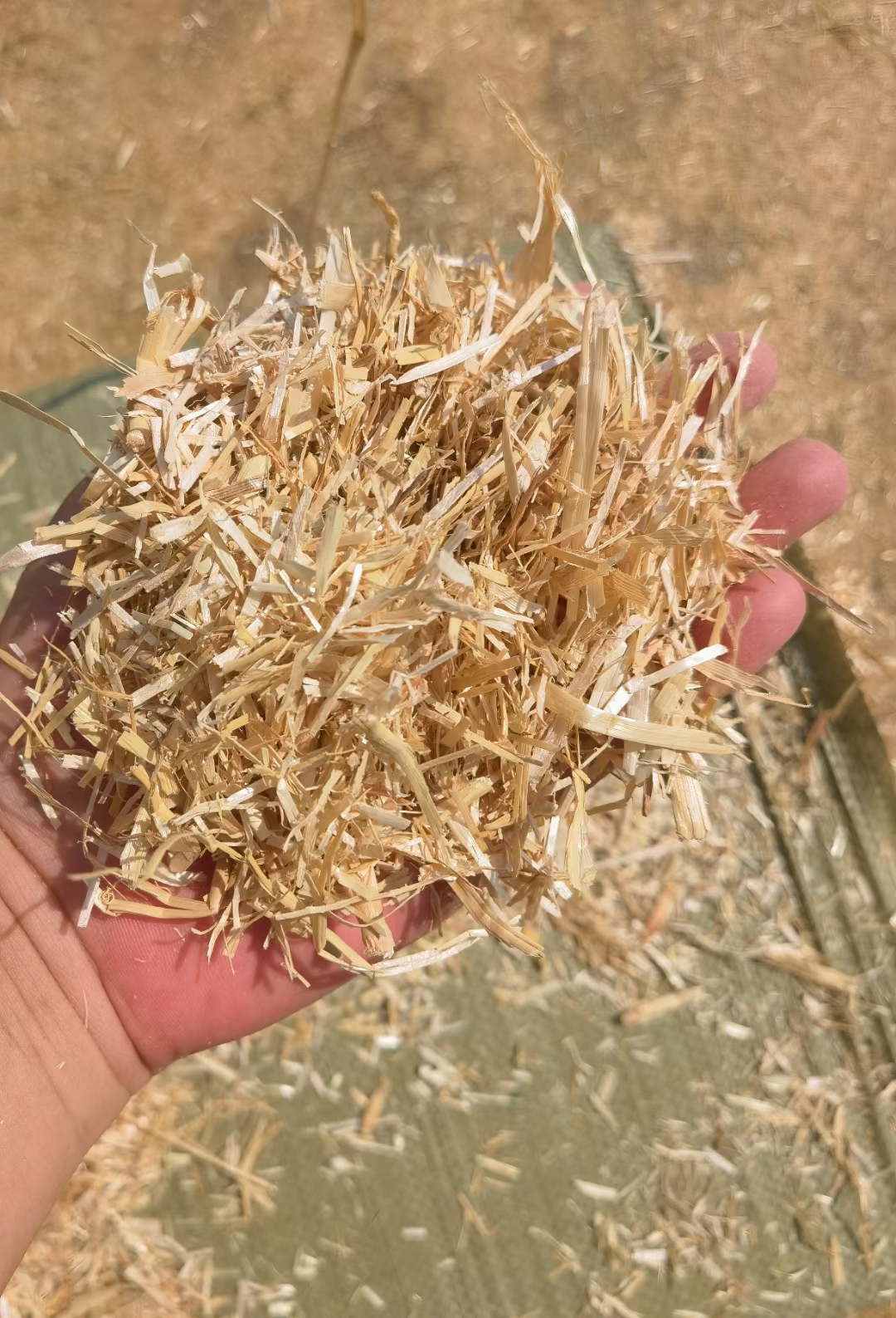 鵬程飼料經(jīng)銷部