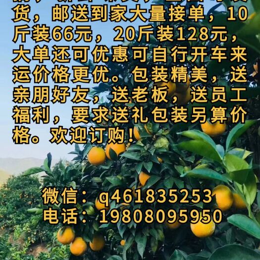 信丰县赣南脐橙全国可售包邮到家，10斤，20斤，欢迎订购现摘现发！