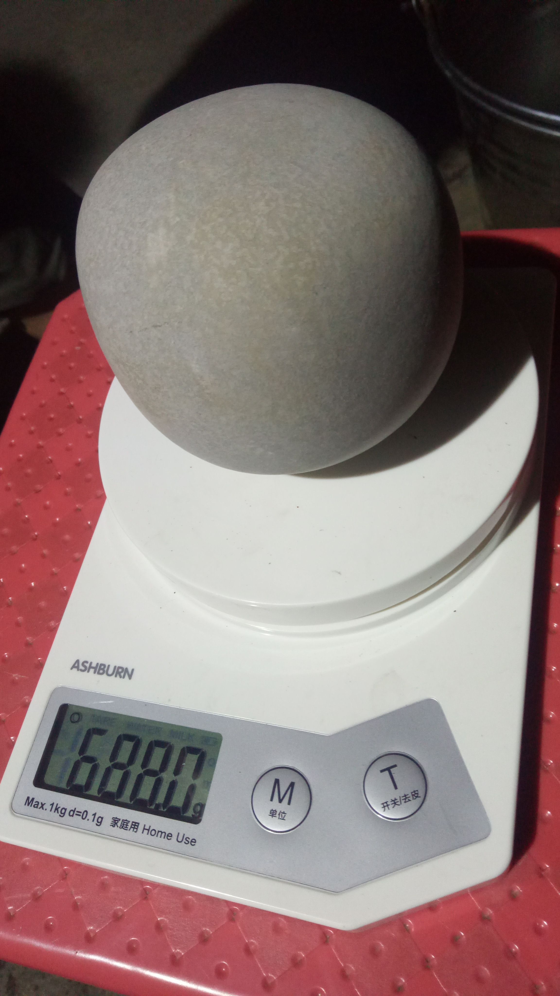 自家的马死后留下的，有老板售后的来聊