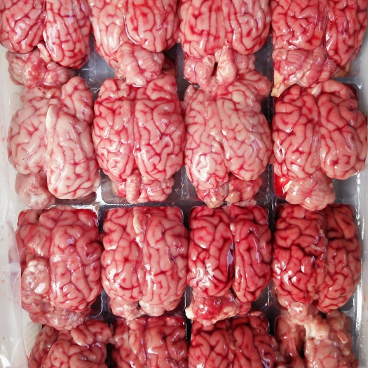 中牟县羊对脑