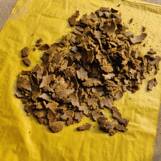 郓城县棉籽饼蛋白高，适合做牛羊猪鸡鸭鹅鱼饲料