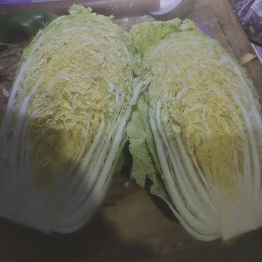 白菜 大白菜 黄心大白菜