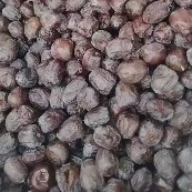 涉县无核黑枣，黑枣