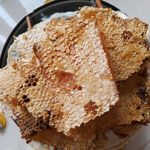 沁县中华蜂土蜂蜜，一年一割！
