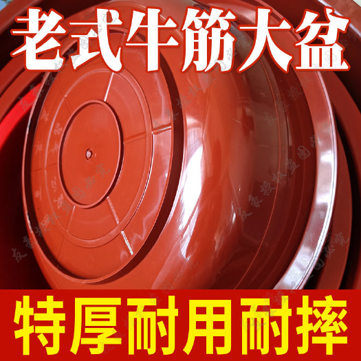 上海特大号加厚洗脸盆子家用厨房塑料洗菜小盆卫生间洗澡洗脚洗衣水盆