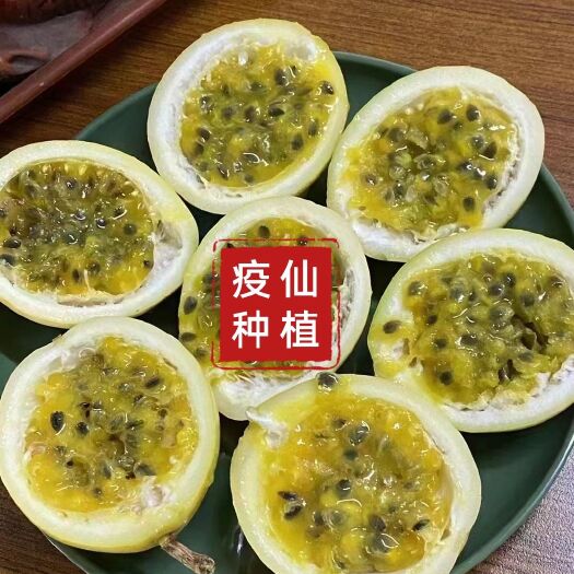 钦蜜九号百香果·来自疫仙试验种植第8号基地
