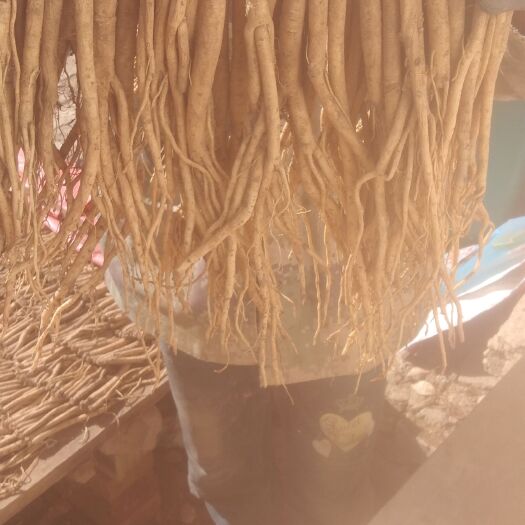榆中县高原种植，无公害绿色农家肥种植重天然，含量足。