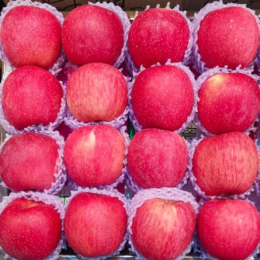 沂南县山东红富士苹果山区苹果口感脆甜颜色全红全国发货