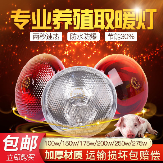 汕尾保温灯猪用养殖取暖灯防爆保温灯泡小鸡仔猪加热保暖灯灯源