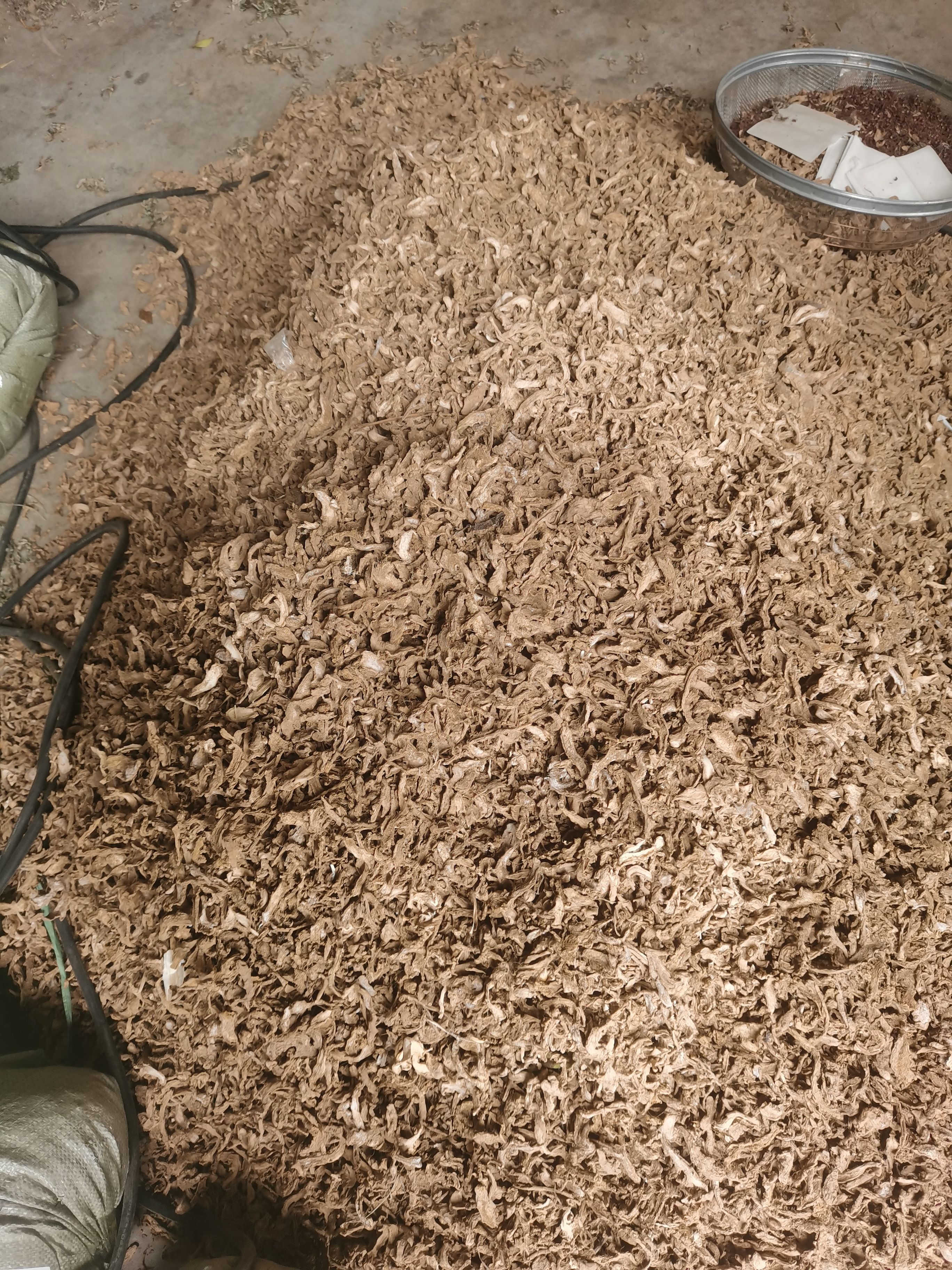 姜干小柴姜老姜