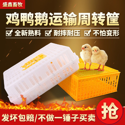 鸡笼周转箱家用大号加厚防摔养殖运输塑料