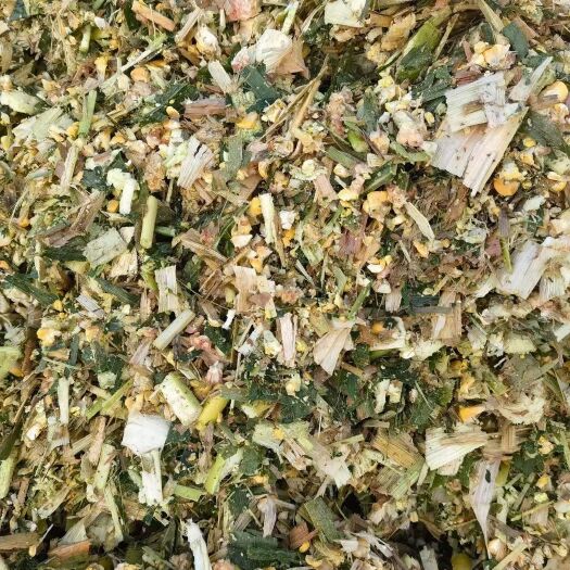 吴忠双32裹褒青储 大量出售！