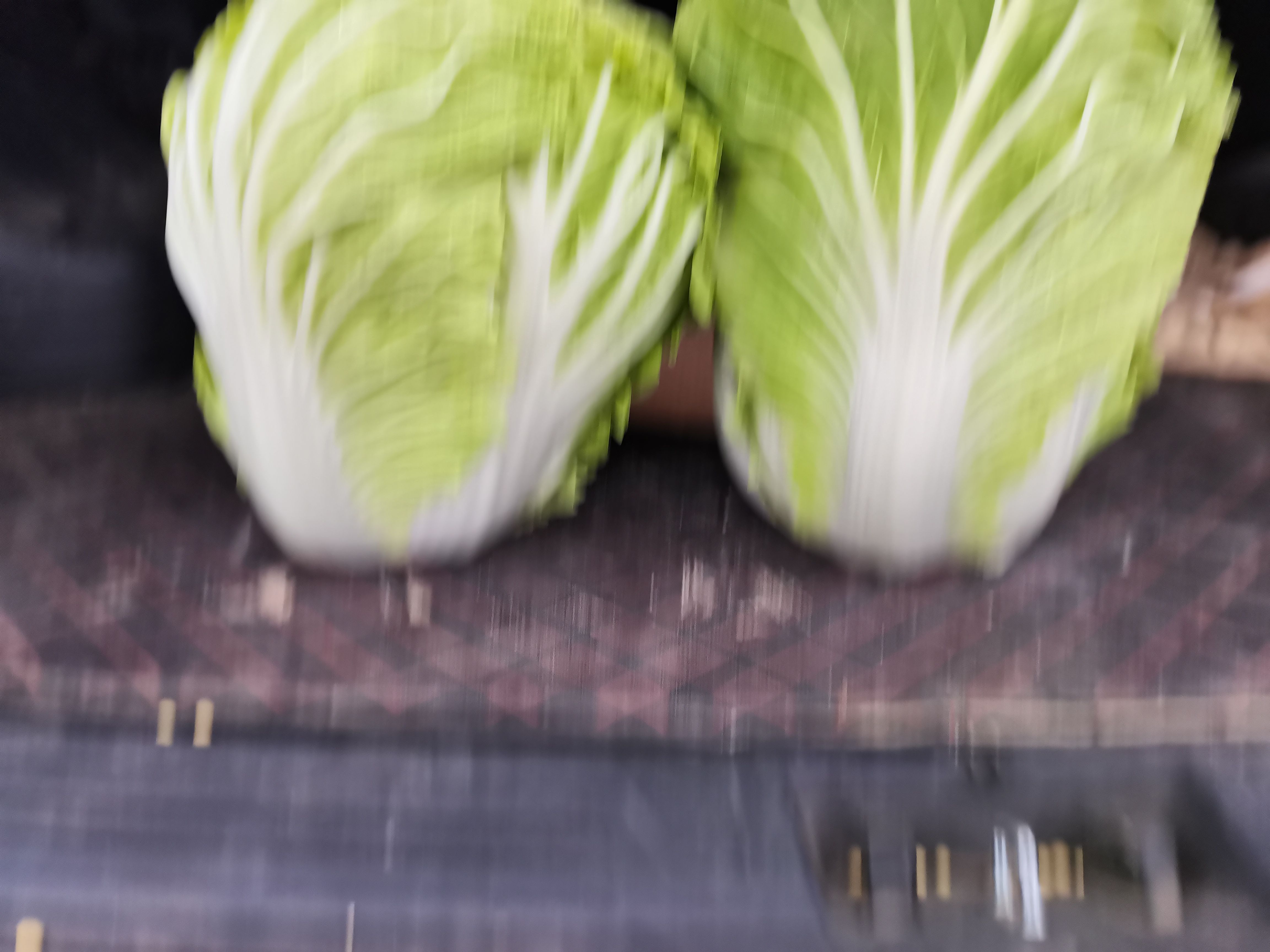 大白菜，三种品种，大中小任意选择