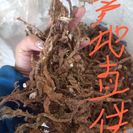 筠连县石仓蒲
