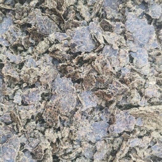 威县纯棉子饼 蛋白30  质量保证