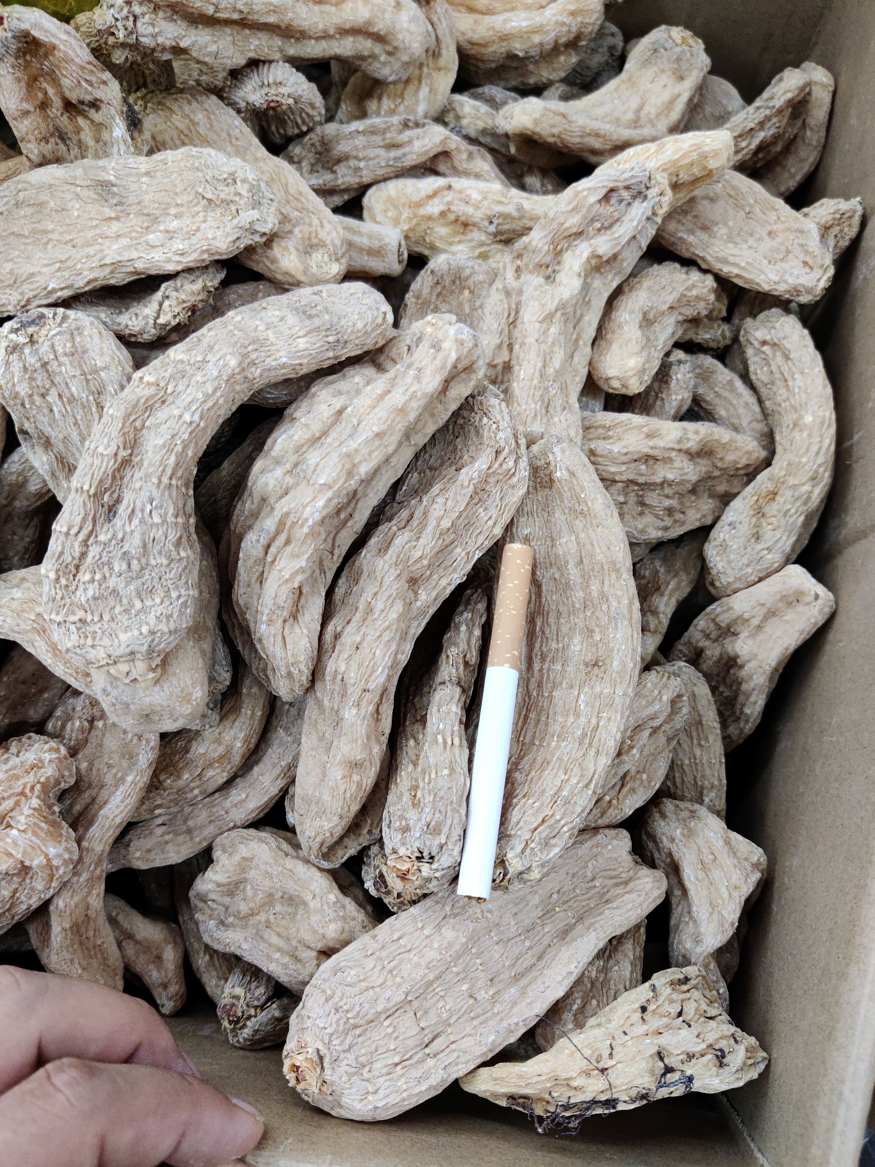 天麻个 天麻片 手选无硫 云南大天麻 规格齐全