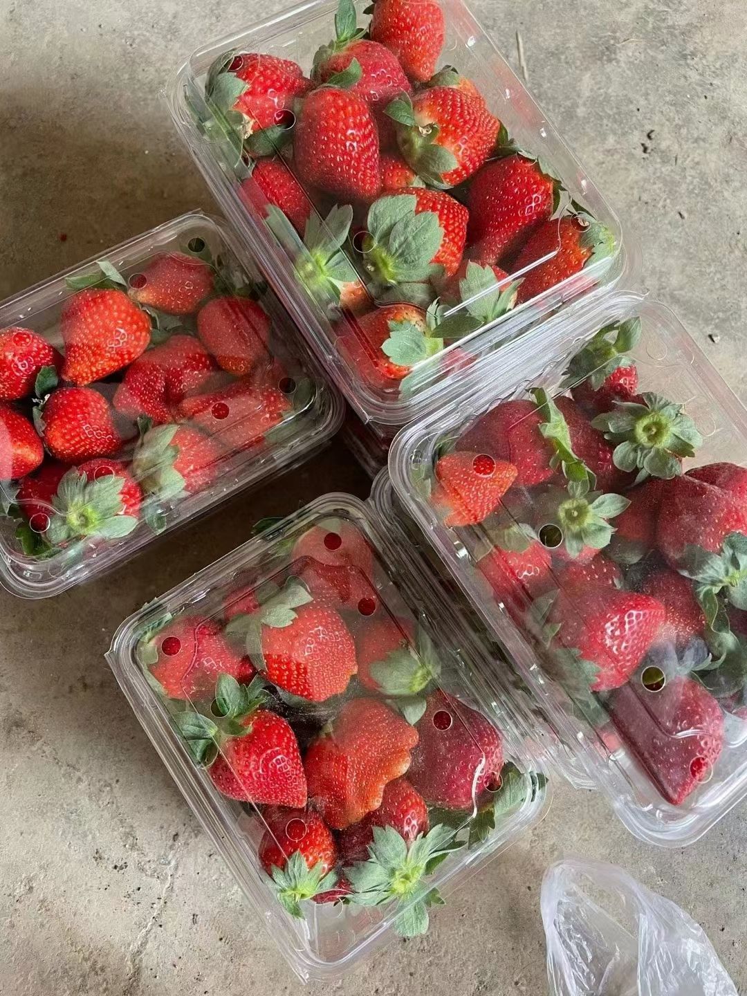 柳州法兰地草莓
