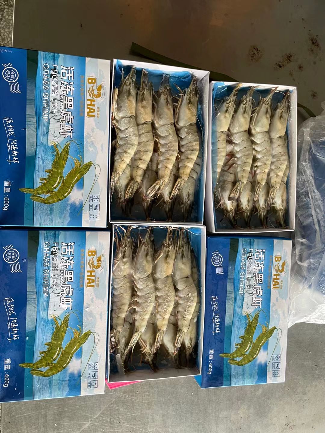 中国对虾  黑虎虾特大海洋大黑虎虾特大号黑虎虾新鲜生呛生