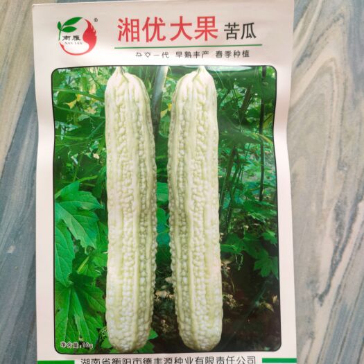 湘乡市白苦瓜种子 杂交早熟丰产 长圆筒形果皮白绿色春播10克