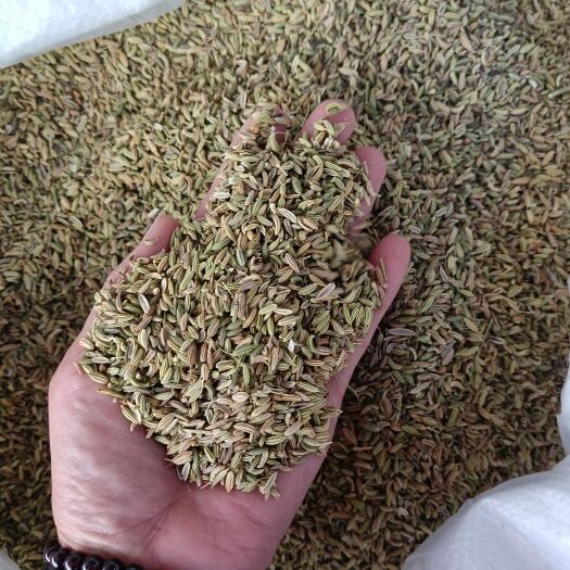玉林小茴香大小茴香都是常用的调料是烧烤烧鱼炖肉