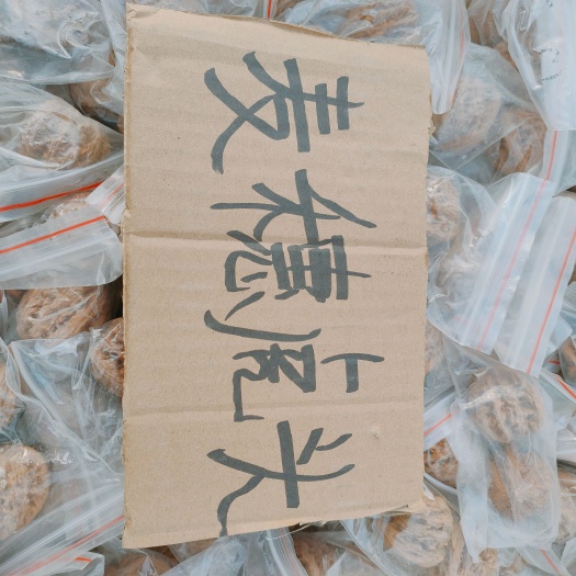 涞水县麦穗虎头
