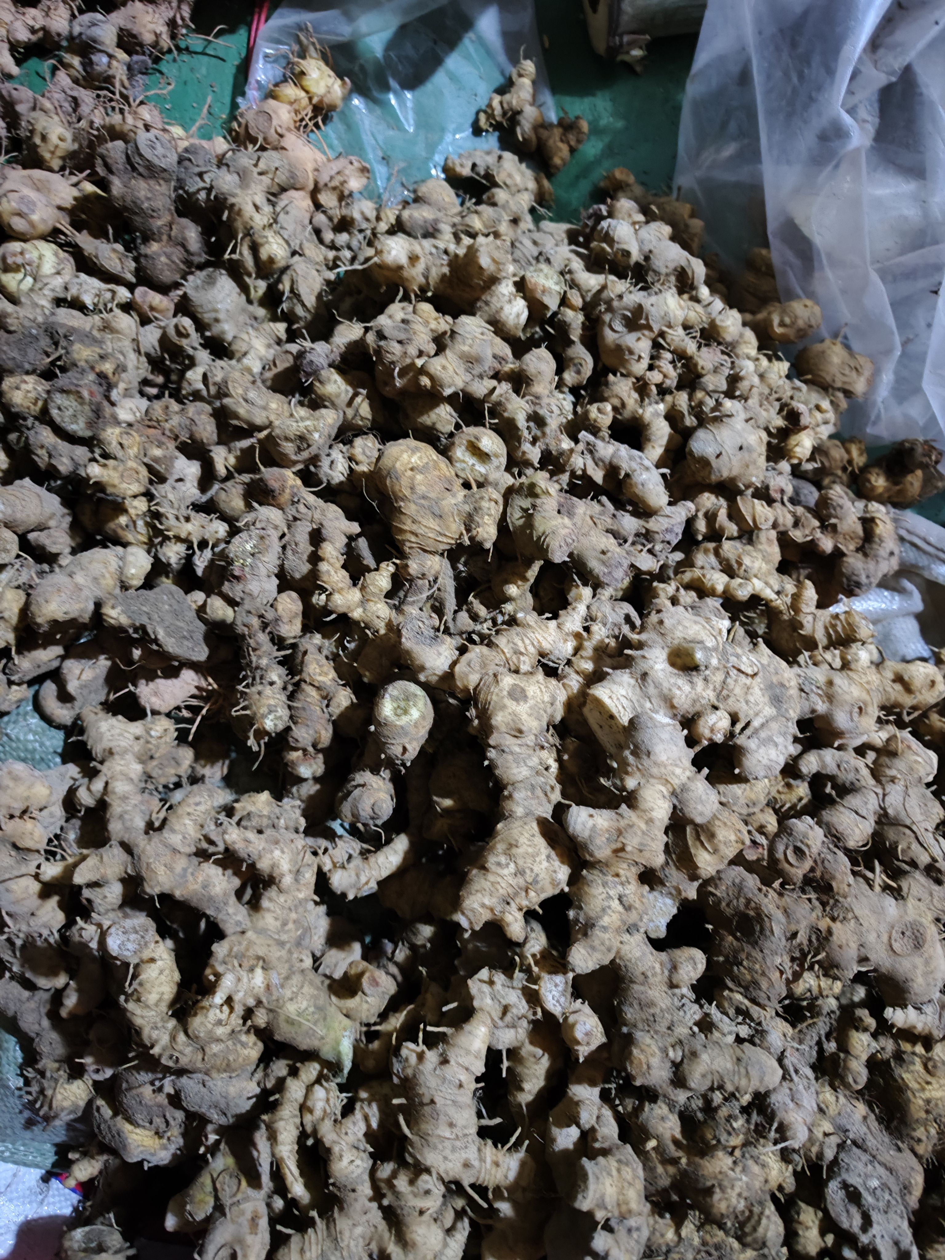 贵州本地黄精，老虎姜，产地一手货源，可批发零售