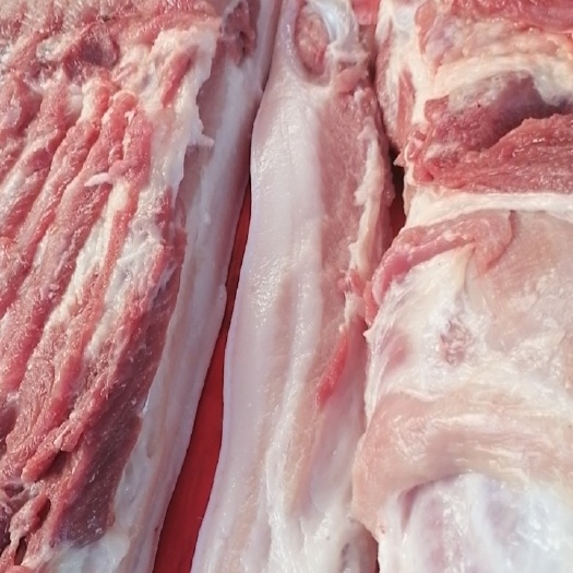 猪肉