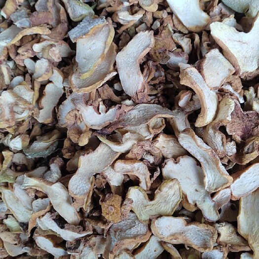 思茅滇黄精，甜黄精，土灶烘烤