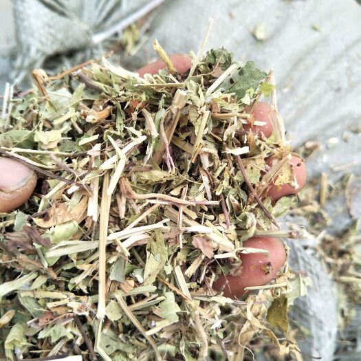正阳县花生秧  ，牧康草业常年出售优质，牛草，羊草，，无土，无地膜