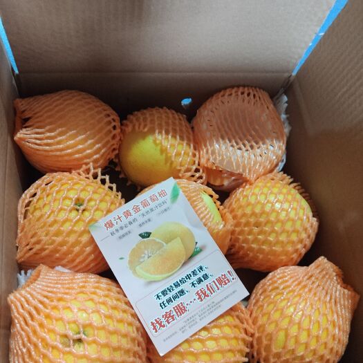 平和县葡萄柚
