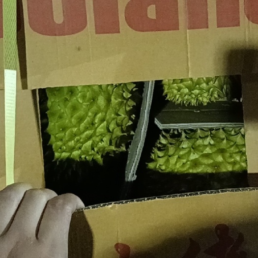 广州泰国金枕  每天一车  每天发车