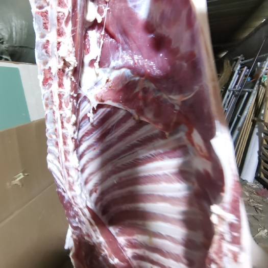 颍上县农场养殖黑山羊，白山羊，肉质鲜美，口味独特。散养土山羊好吃。
